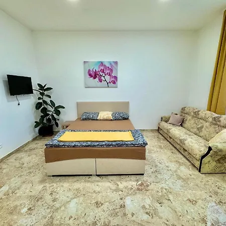 Apartment Holicak *