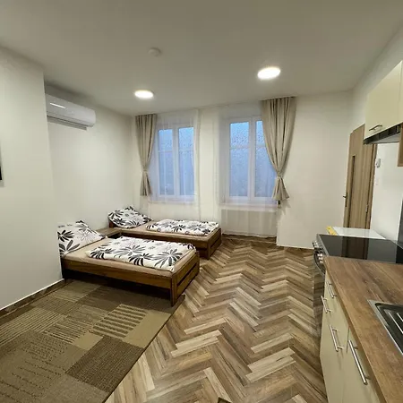 Apartman Holicak Alamóc