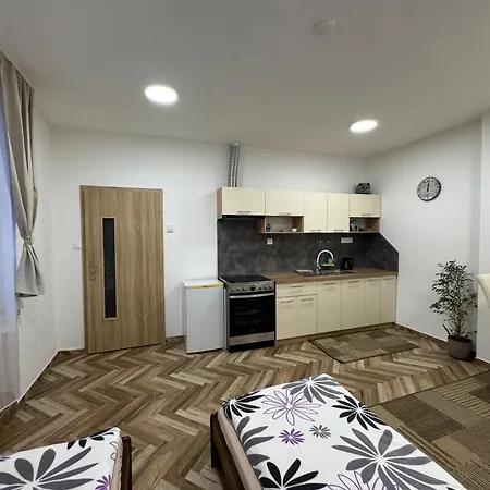 Apartman Holicak