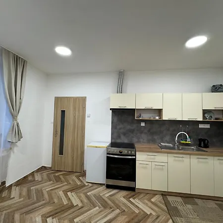 Apartman Holicak *