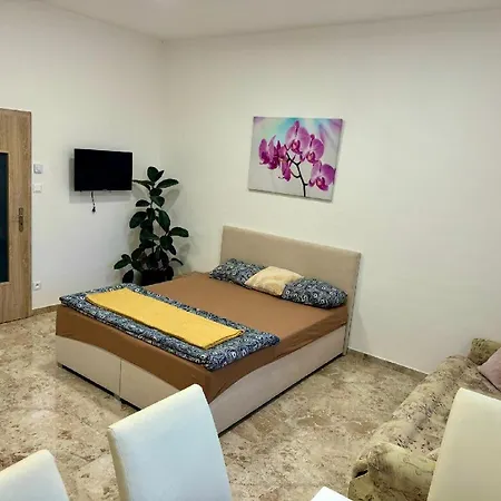 Holicak Apartment Olomouc
