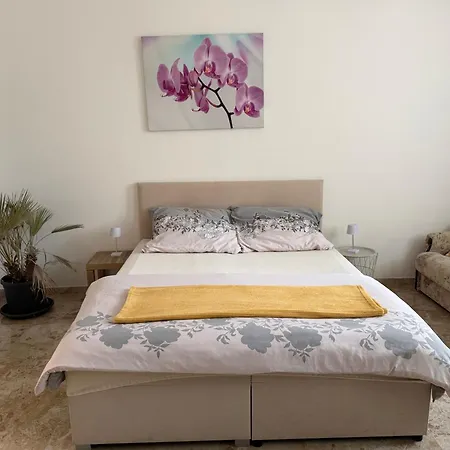 Holicak Appartement *
