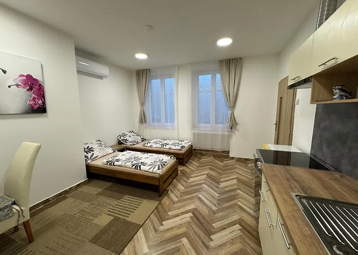 Apartment Holicak Olmütz